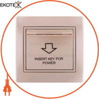 Энергосавер (карткового типу з логотипом) 701-3030-119 Колір Перлинно-білий металік Затримка