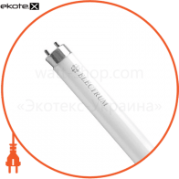 Лампа люмінесцентна SUPERLUX 14/840 G5 - A-FT-0158